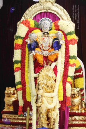 20140928 9599 CMP WM.jpg