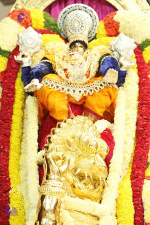 20140928 9653 CMP WM.jpg