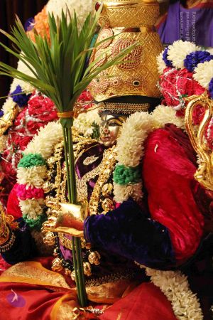 20140928 9684 CMP WM.jpg