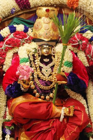 20140928 9685 CMP WM.jpg