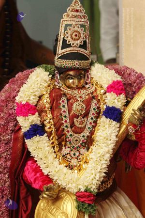 20140928 9687 CMP WM.jpg