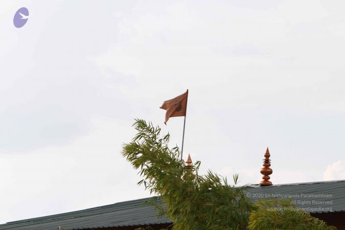 20140928 Photo 1056 1x Ww-BIF0mGTM5d7JCv9ddsil8rNyVct.JPG