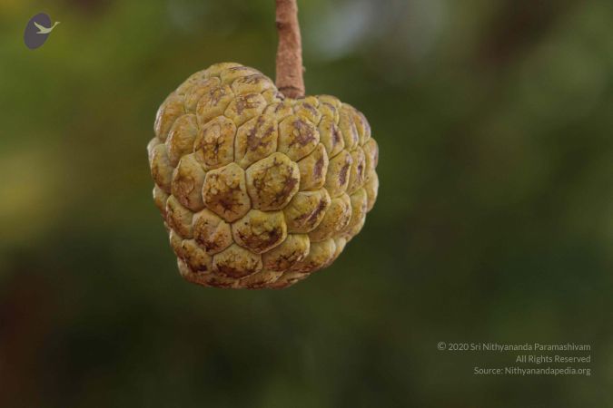 20140928 Photo 1060 1t76YXMhWRPLfIEEV81CpS2mfkvFaj xO.JPG