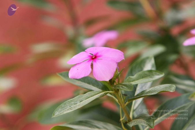 20140928 Photo 1063 1AAMFgq8Nupwj-LxH8tTD58LQXfYqi1ut.JPG