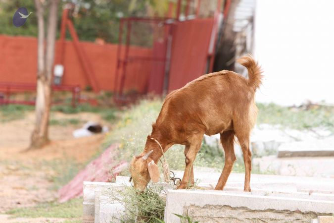 20140928 Photo 1064 1xW4BvLxLqZL3qBHzyRLSlvvHEBk7YjH-.JPG