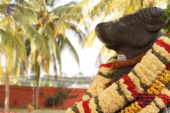 20140928 Photo 1066 1-hKaM03WCdgnM azHAWis4cGQYQXok9t.JPG