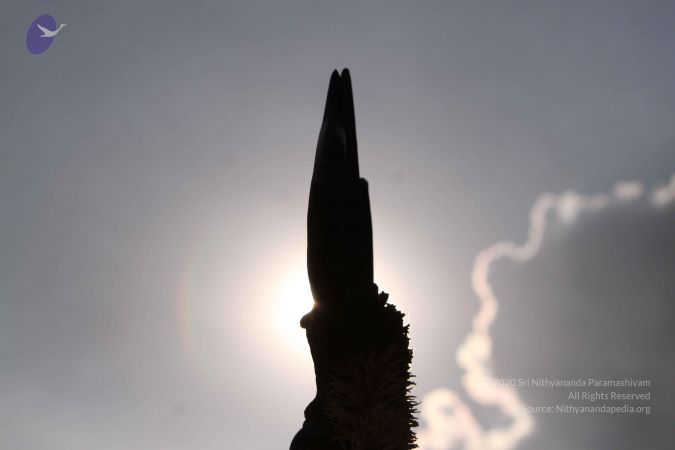 20140928 Photo 1070 1jXa9pwG-9d4wJ7yvpz1iNxWn1cWrSweV.JPG