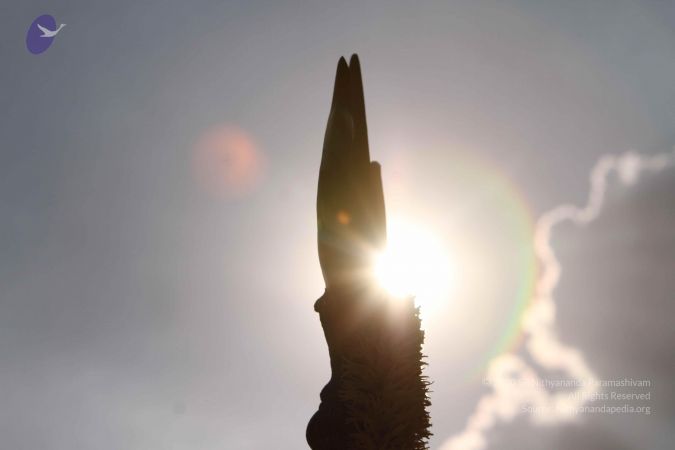 20140928 Photo 1071 1Un5TqjVjr7dDCAVPGJSugDDVesMDsLE7.JPG