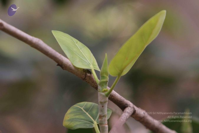 20140928 Photo 1080 1 FkxvnzE sSJnSooEsBQyFNMeA3qwZWn.JPG