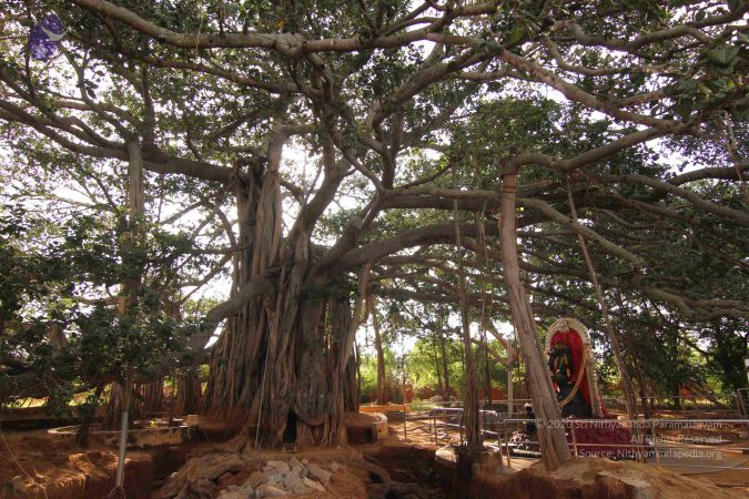 20140928 Photo 1084 1eVBwDmXp3tG04rNewU7 0xOA16MBOo9F.JPG