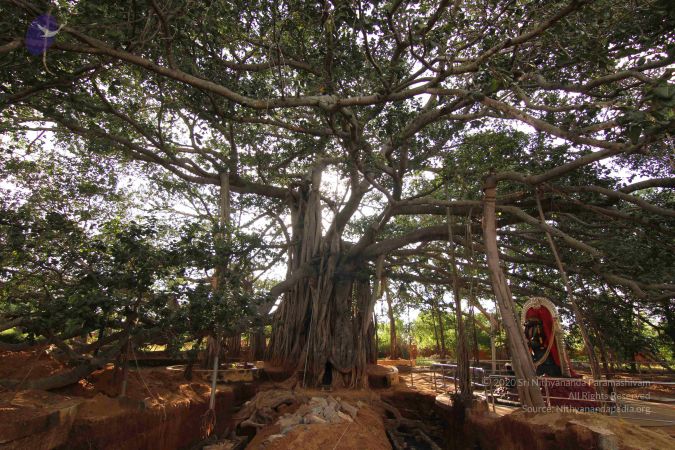 20140928 Photo 1085 1cfVcZfGY JtAkJm89S5ciTl7ddzF9PSw.JPG