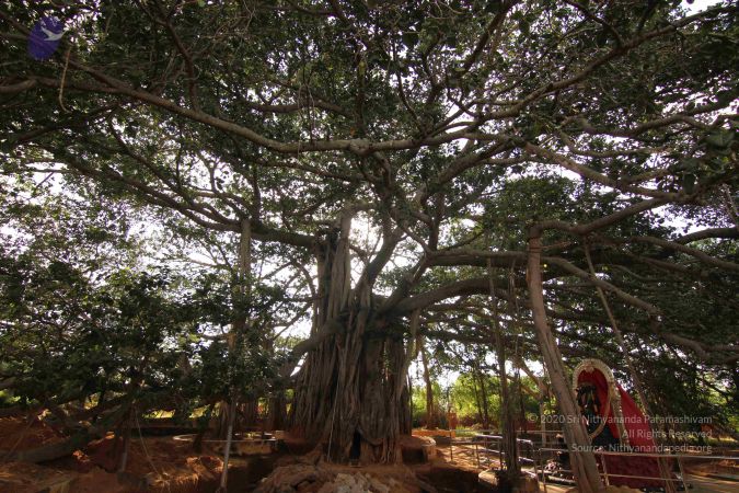 20140928 Photo 1086 1gJOi5c8EARy5SiaC3xlPHJpTNSAYMd67.JPG