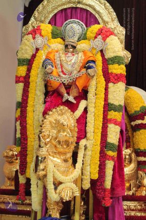 20140928 padapuja 9630 CMP WM.jpg