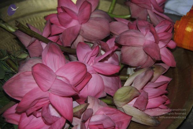 20141002 Photo 1015 1kQsGmrMDchGLYN9qYLQ1R415IRwscLSi.JPG