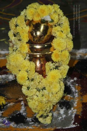 20141002 Photo 1025 1bBLDiHY4LBZS6GQTpA9stJ8pACW7Lmi7.JPG