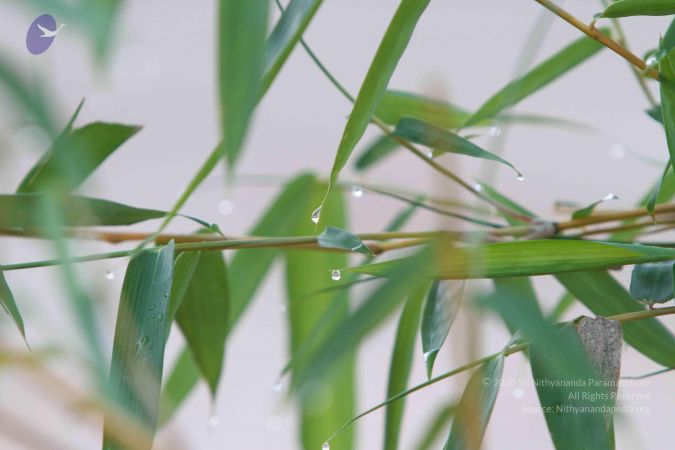 20141002 Photo 1033 1YX0Dq36F2Pq5OfJ3vtZQWRo-sX610 rY.JPG