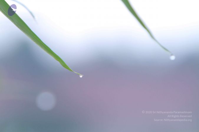 20141002 Photo 1035 1aicP8EP5-tccWRoqnm3OQbMO6E3y 12i.JPG