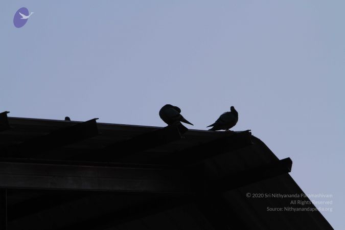 20141002 Photo 1046 1ys39S4-NXy9tg44s4MKU22c9rnn7dP-9.JPG