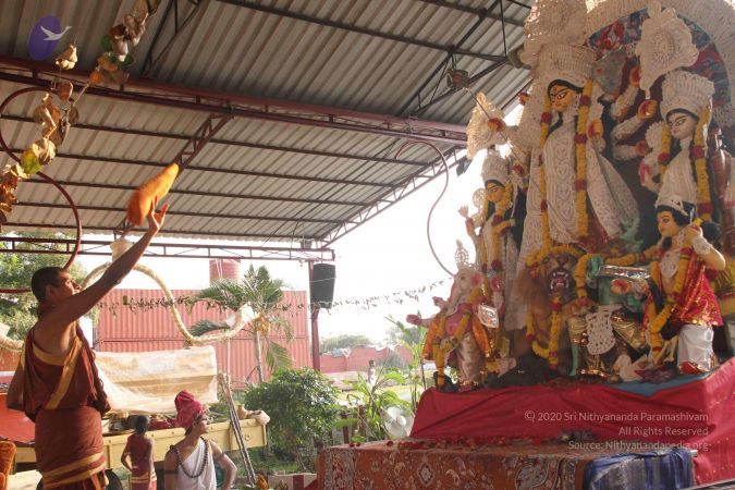 20141002 Photo 1648 1gcLT4aum6jrsfHHu8ZbO6aCCigOCoeor.JPG