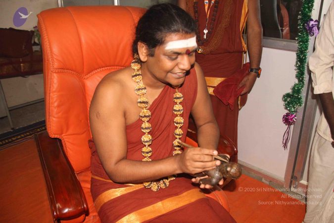 20141002 Photo 1756 1qveGdjP-Jj3BVkkvSWYnQH52YJUBZVDG.JPG