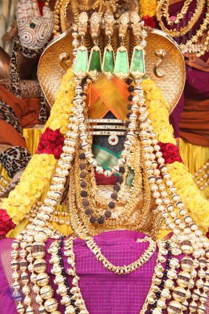 20141005 Photo 1047 1mhkyM2da0mlcdR9Anm3UE 8ktpyoCPY0.JPG