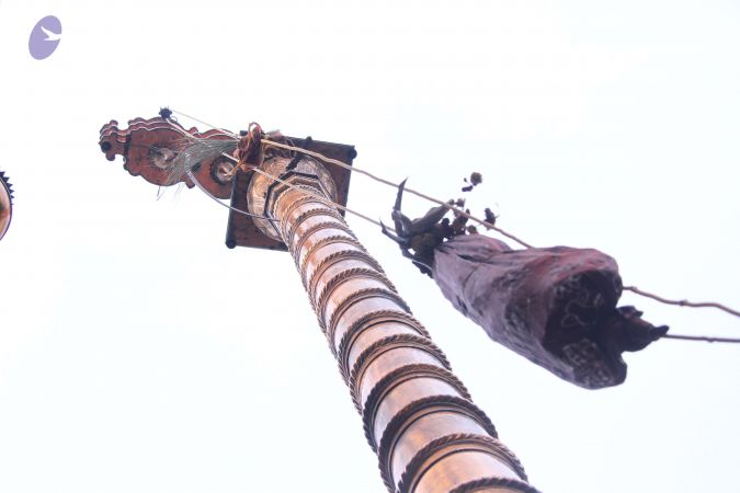 20141005 Photo 1085 1438hAwvKlZFVHeJKoyG8EADoBFoZTbnF.JPG