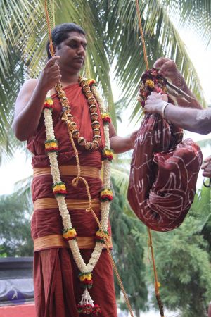 20141005 Photo 1093 1qxY2BhRdDL-m37l9ibtSQW2k9kcUWKky.JPG