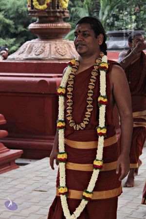 20141005 Photo 1147 1TXJ-u3nXjC0YlhWDV8N3WtGJtEXL2ZTC.JPG