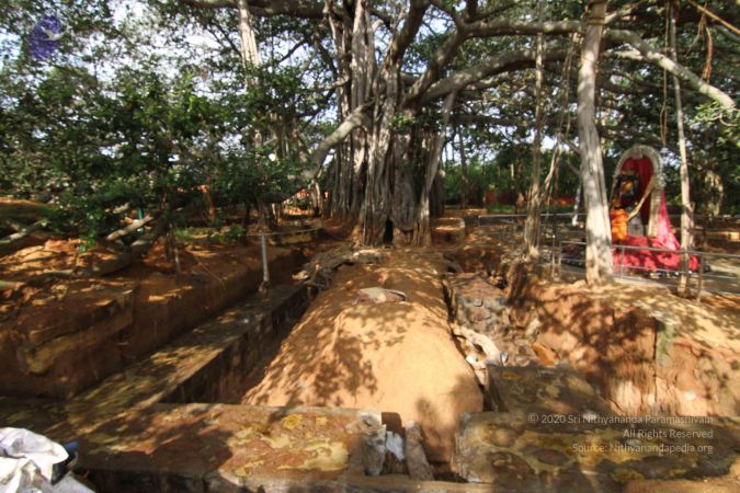 20141013 Photo 1046 1jfKq2X0FmvAb9MbHcpekZ65DfoTOzJdk.JPG