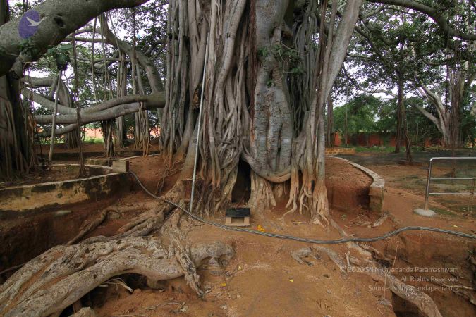 20141013 Photo 1048 1vA93RTq2B8-FgHhT6tZC-K-uh6KHRZo3.JPG