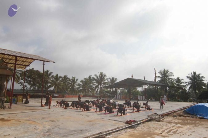 20141013 Photo 1050 17safXKdTNtYQMlXIhhDM4LiKBUUiEoXI.JPG