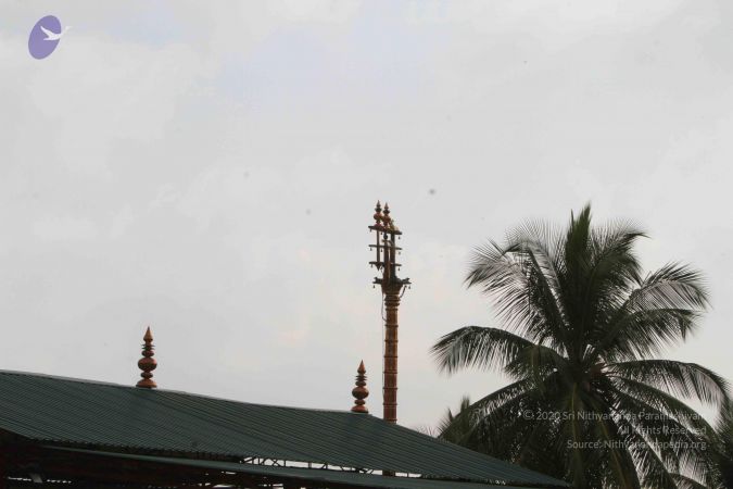 20141013 Photo 1059 1yAOdIsJWGJ96WiOGkerYjm6b64oCsxHk.JPG