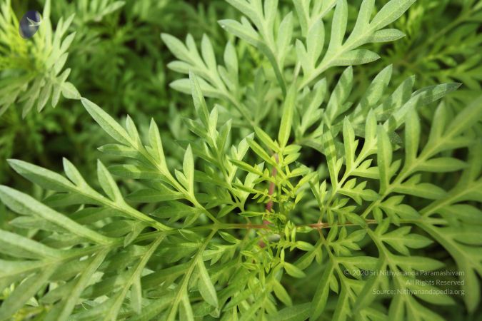 20141022 Photo 1013 1Rf59RzSjPJ9aXphvDKgC8v5xXdL0tyJ8.JPG