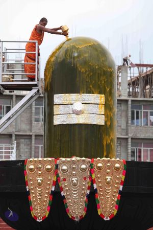 20141022 Photo 1206 1U7AUPrpbFYmWabjW6IQHDmpjtrP5mahx.JPG