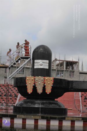 20141022 Photo 1260 1SPKw60xFJI9Z9zuSOn1A7CQ2lqqdF0U6.JPG