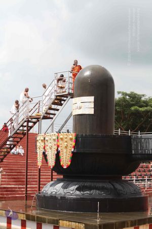 20141022 Photo 1310 12IkfPwTxsO45jkG5mN oWYWg0hodRXXX.JPG