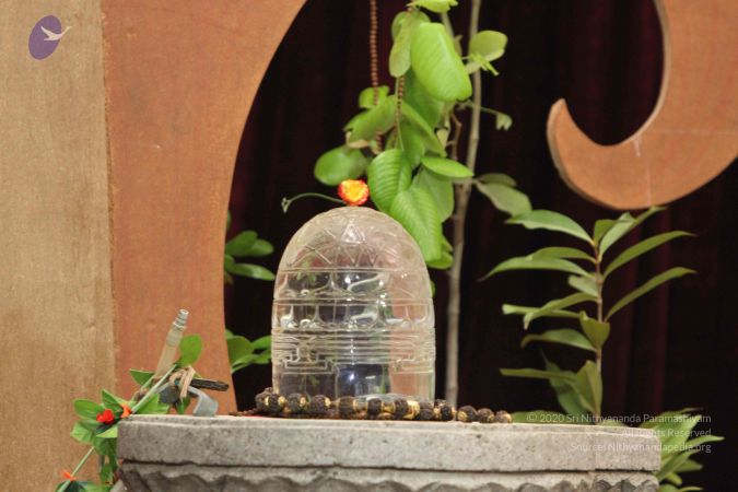 20141027 Photo 1046 1Gnsd0xzQyRam5 1m3bLHqwTMxtQNt1H0.JPG