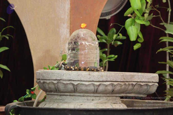 20141027 Photo 1047 1k8Xse6MEsSepZ3HQ6ZowgFrpaC-5PfZA.JPG