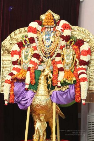 20141027 Photo 177 1Ow3LFRdGiR 58tljjn3nLXSoQm8JAxvn.jpg