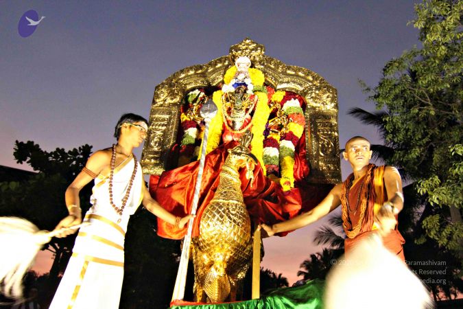 20141029 Photo 1042 1-iqf T6HNzJYYluyL6nih1T5I84OdsZX.JPG