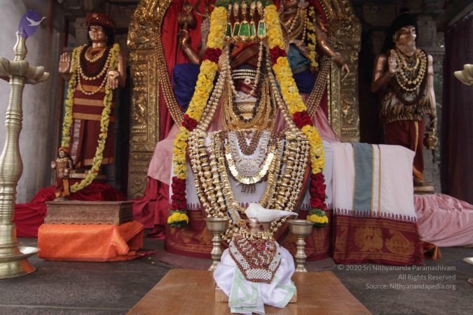 20141104 Photo 1006 1MiEocl4ZAMbo-UI5Wl98Fd7h-AZPpJeS.JPG