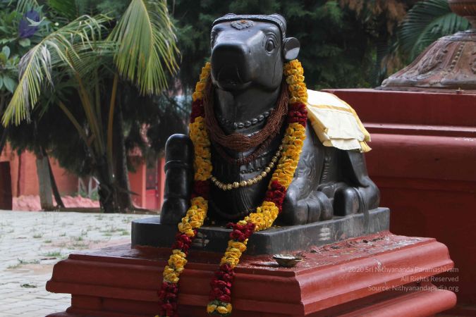 20141105 Photo 1001 1OiItzNJQHWfy375U4nNrvvMOGvtZ1o4a.JPG