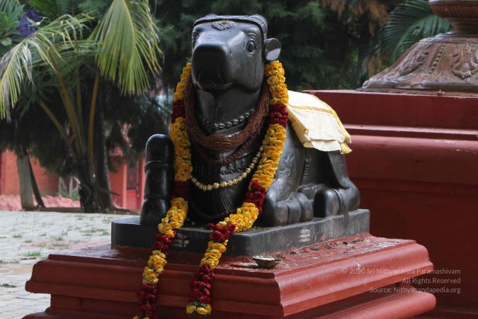 20141105 Photo 1002 1y1BlBQufdbBTK9pShf41sBIy4lzKsFPK.JPG