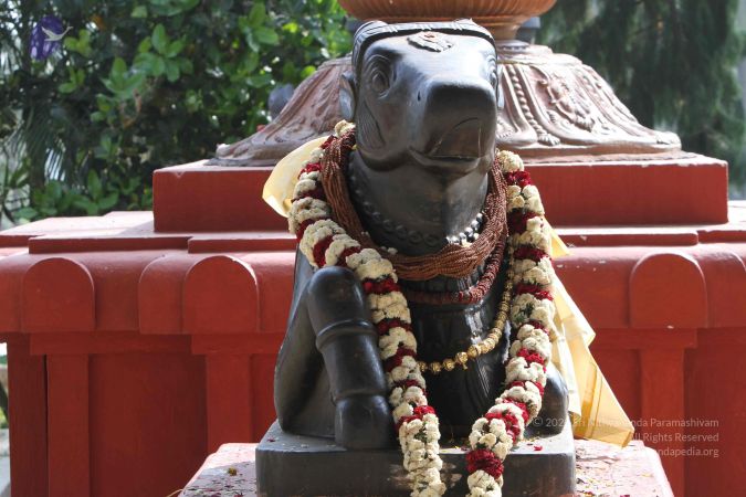 20141108 Photo 1028 1ITbClLrMhaCD-hpnmZeB5oH0twVd3 GN.JPG