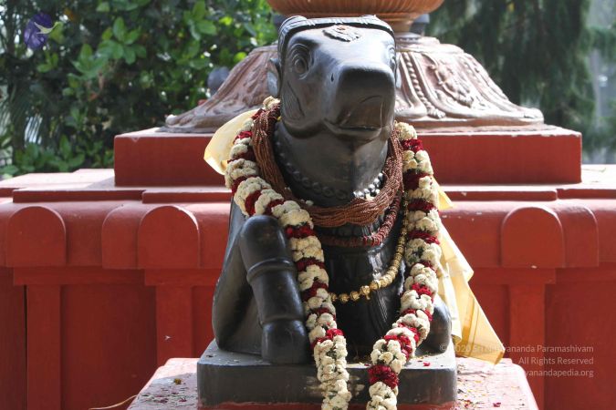 20141108 Photo 1029 1aN3Pa-ikvuLEVvlGdoOF3lnc38uLjgU9.JPG