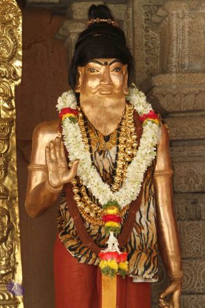 20141123 Photo 1025 1RAMbaXjl9r870GbTkFmpbIfRI3PrRqPY.JPG