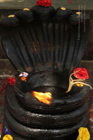 20141123 Photo 1029 1yOkFnP-Q9csvxTBQRbV1tIsesSzAAvOQ.JPG