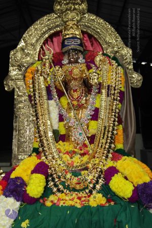 20141123 Photo 1043 16bDubqdTV X xXQLvZLu61gVQCqHJVMR.JPG