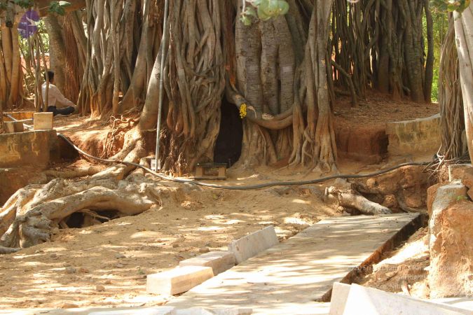 20141123 Photo 1100 1 l6cPQUgjRe8kxNKDDkrQloPLy3j0iD3.JPG