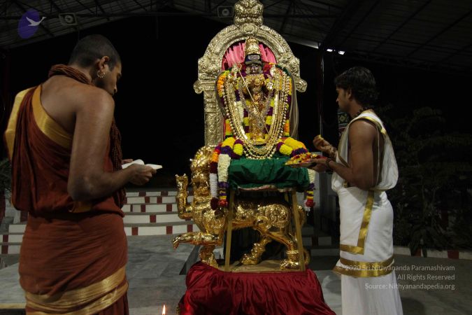 20141123 Photo 1125 13htndWPod32jPKg-PL HVIP9i77DAcaw.JPG